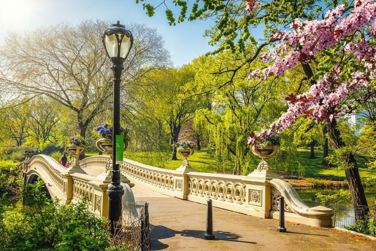 Frederick'S Place - Convenient Condo Walk To Central Park And Columbia University New York Exteriér fotografie
